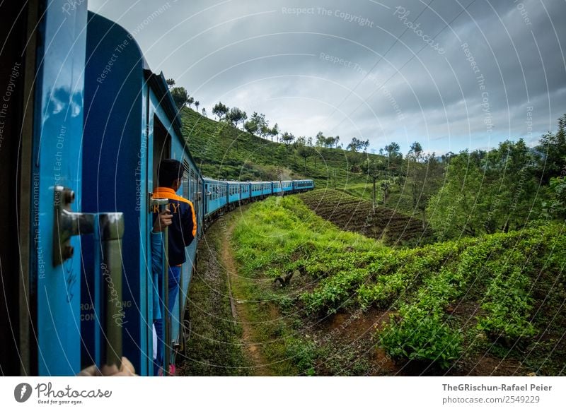 train ride Nature Landscape Blue Green Orange Sri Lanka Tea Plantation Field Vantage point Tree Idyll Railroad Logistics Train travel Colour photo Exterior shot