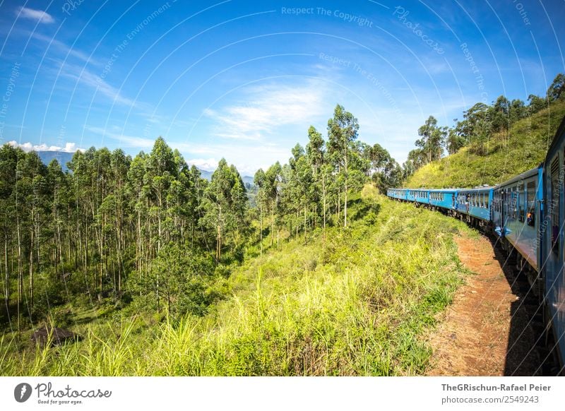 blue ride Environment Nature Landscape Blue Green White Train travel Adventure Sri Lanka Idyll Trip Field Tourism Colour photo Exterior shot Copy Space top Day