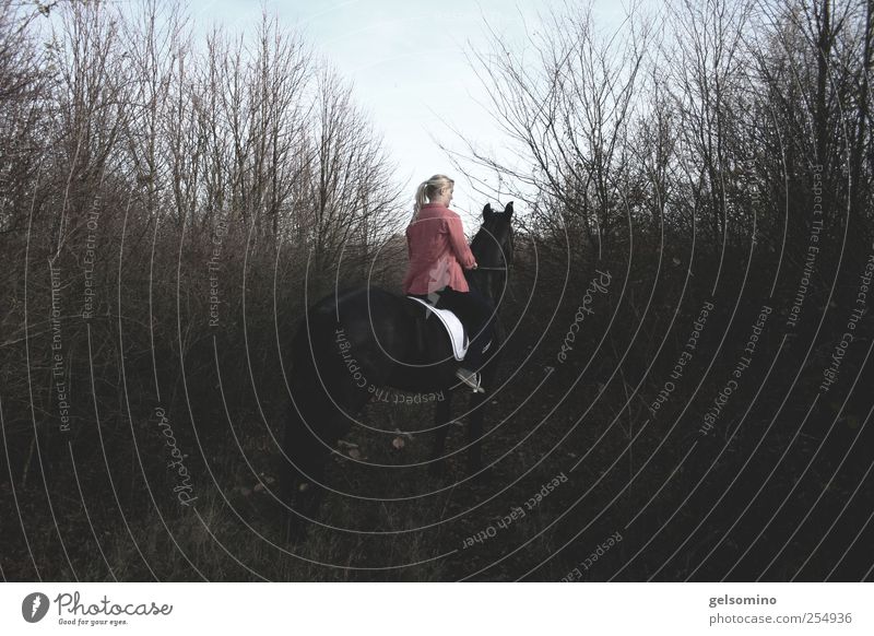 off through the hedge Ride Young woman Youth (Young adults) 1 Human being Forest Blouse Horse Observe Sit Stand Wait Dark Elegant Far-off places Together Gray