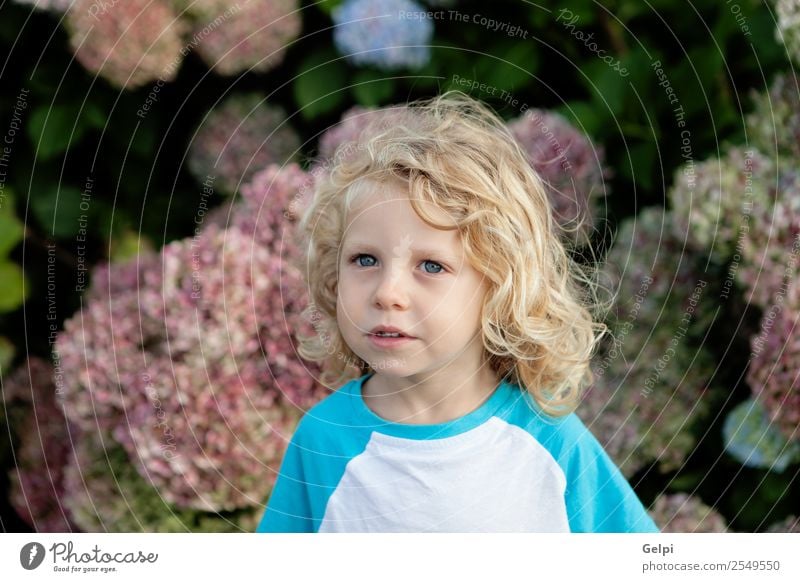 blond child Happy Beautiful Face Summer Garden Child Human being Baby Boy (child) Man Adults Infancy Hand Environment Nature Plant Flower Blonde Smiling Small