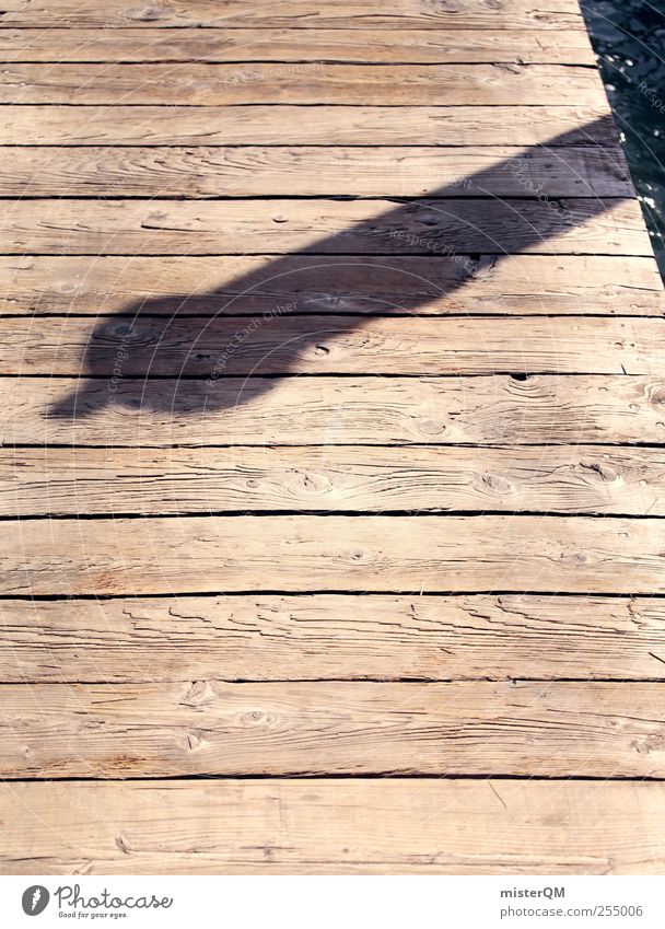 Venice, you bastard! Art Esthetic Footbridge Jetty Wood Ocean Coast Shadow Offensive Midday Penis Point Perspective Colour photo Subdued colour Exterior shot