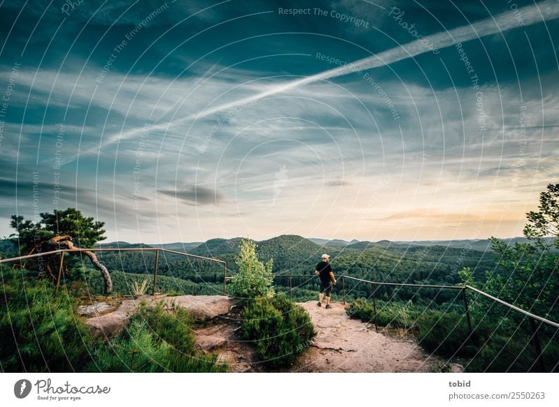 panoramic view Nature Landscape Plant Sky Clouds Horizon Summer Beautiful weather Tree Grass Bushes Forest Hill Rock Observe Stand Far-off places Infinity