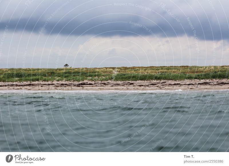 Hiddensee Sailing Environment Nature Landscape Plant Elements Water Sky Storm clouds Summer Waves Coast Baltic Sea Ocean Island Vacation & Travel Horizon