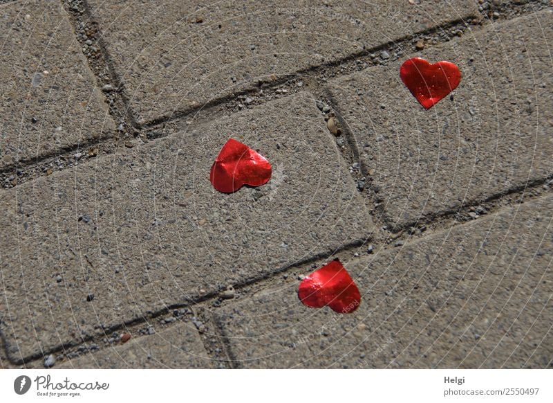 lost hearts Feasts & Celebrations Wedding Footpath Paving stone Plastic Heart Lie Exceptional Together Happy Kitsch Small Gray Red Emotions Love Romance