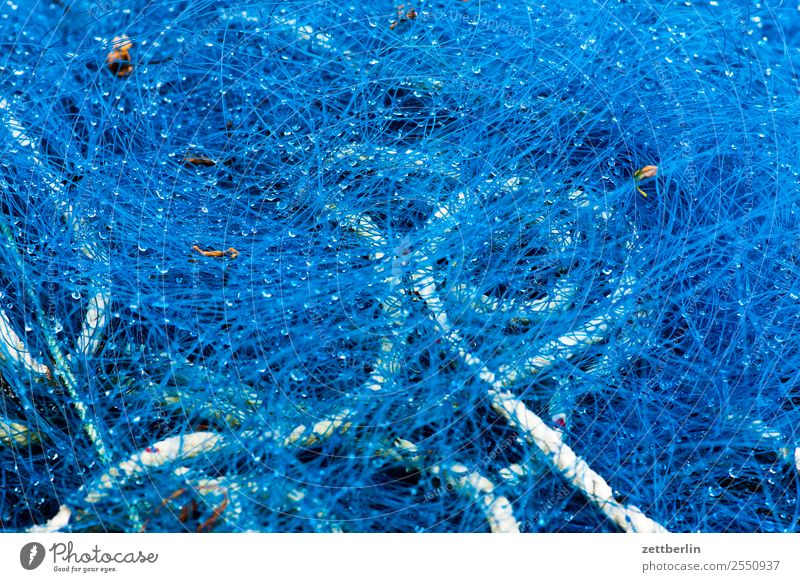 Fishing net in Sørvågen Net Fishery Arctic Ocean Europe Harbour Maritime Norway Scandinavia Copy Space Vacation & Travel Blue Background picture Deserted