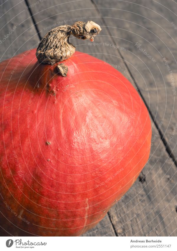 Organic Hokkaido Pumpkin Vegetable Organic produce Vegetarian diet Diet Healthy Eating Summer Hallowe'en Nature Fresh Delicious Orange red Background picture