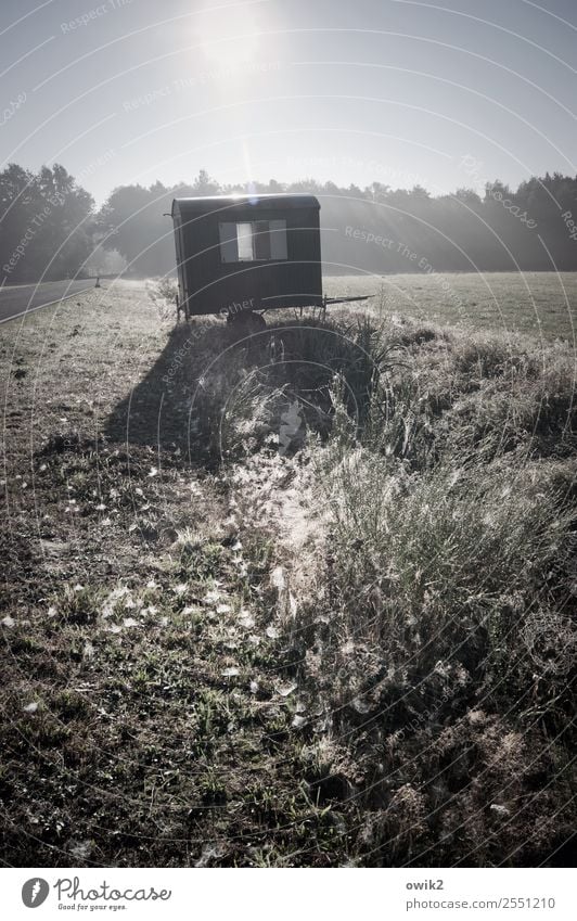 Storage trolley Environment Nature Landscape Cloudless sky Horizon Sun Autumn Beautiful weather Plant Grass Bushes Field Forest Site trailer Roadside Illuminate