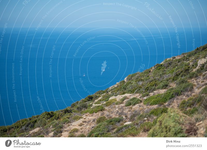 Sailors in the Mediterranean Sea at the coast of Corsica Vacation & Travel Tourism Trip Far-off places Freedom Summer vacation Ocean Island Environment Nature