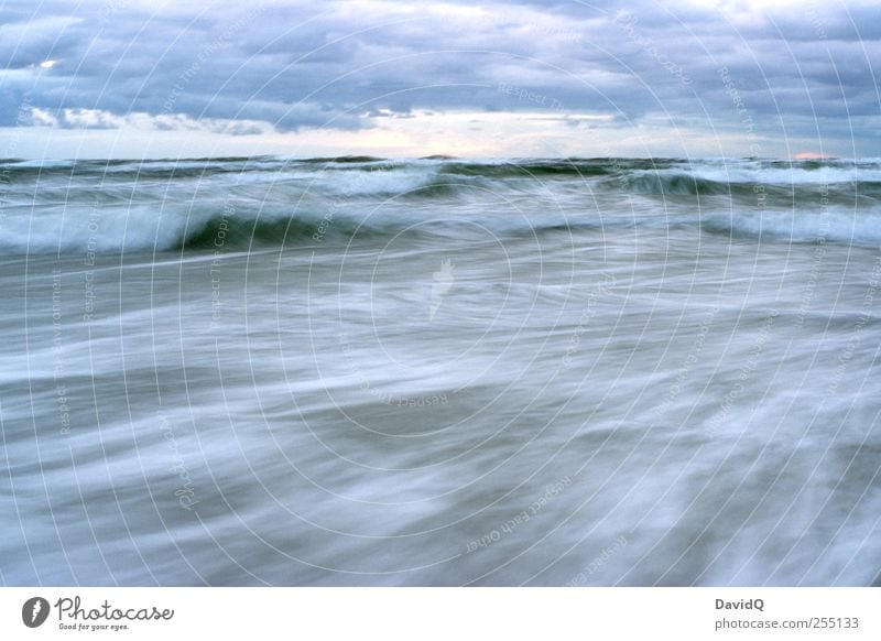 Stiff breeze Environment Nature Landscape Water Sky Climate Weather Bad weather Storm Wind Gale Waves Coast Beach Baltic Sea Movement Power Long exposure