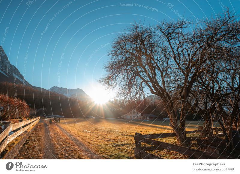 December afternoon in an Austrian village Vacation & Travel Mountain Nature Landscape Alps Ehrwald Village Tourist Attraction Gold Afternoon Blue sky bright sun