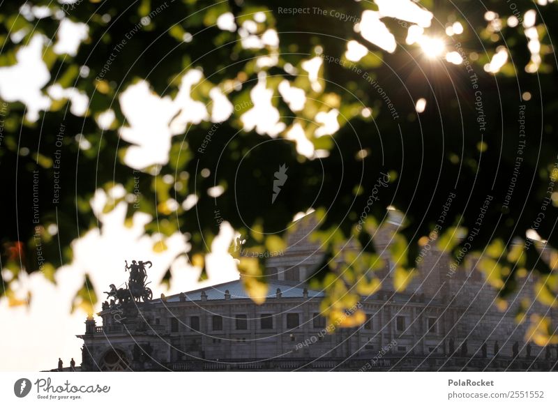 #A# Dresden and all that Culture Esthetic Semper Opera Saxony Elbufer Perspective Colour photo Subdued colour Exterior shot Detail Experimental Deserted