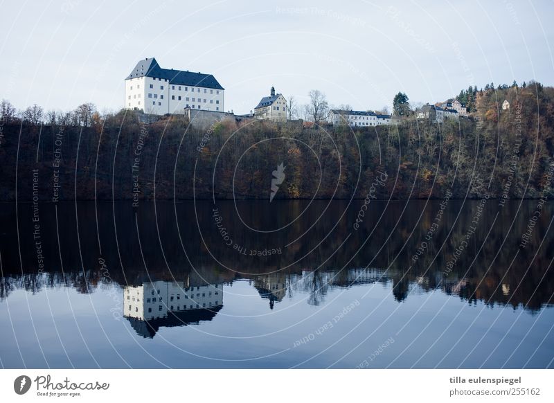 fried egg Tree Lakeside Landmark Old Calm Old times Slope Surface of water Idyll Colour photo Exterior shot Reflection Castle