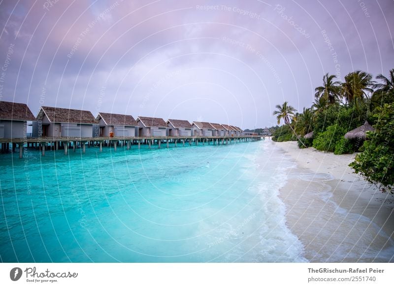 Maldives Nature Blue Brown Violet Pink Turquoise Moody Sunset Clouds Water Gorgeous Beach House (Residential Structure) Footbridge Palm tree Relaxation