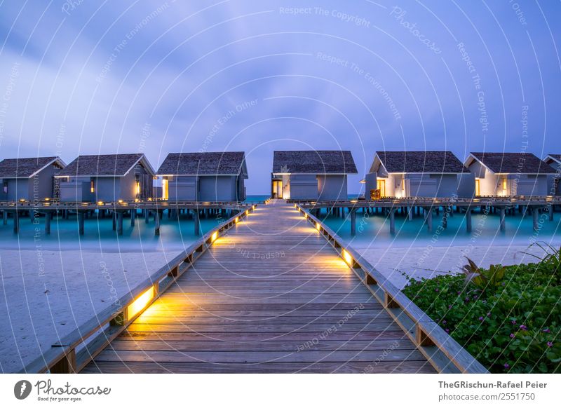 footbridge Nature Blue Yellow Green Violet Maldives Footbridge Paradise House (Residential Structure) Kuramathi Vacation & Travel Beach Ocean Moody Light