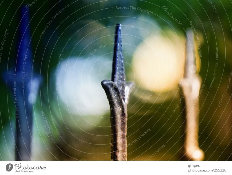 Mr. King is out today Deserted Point Fence Divided stylized Forge Iron Metal Barrier Blur Middle Colour photo Subdued colour Multicoloured Exterior shot