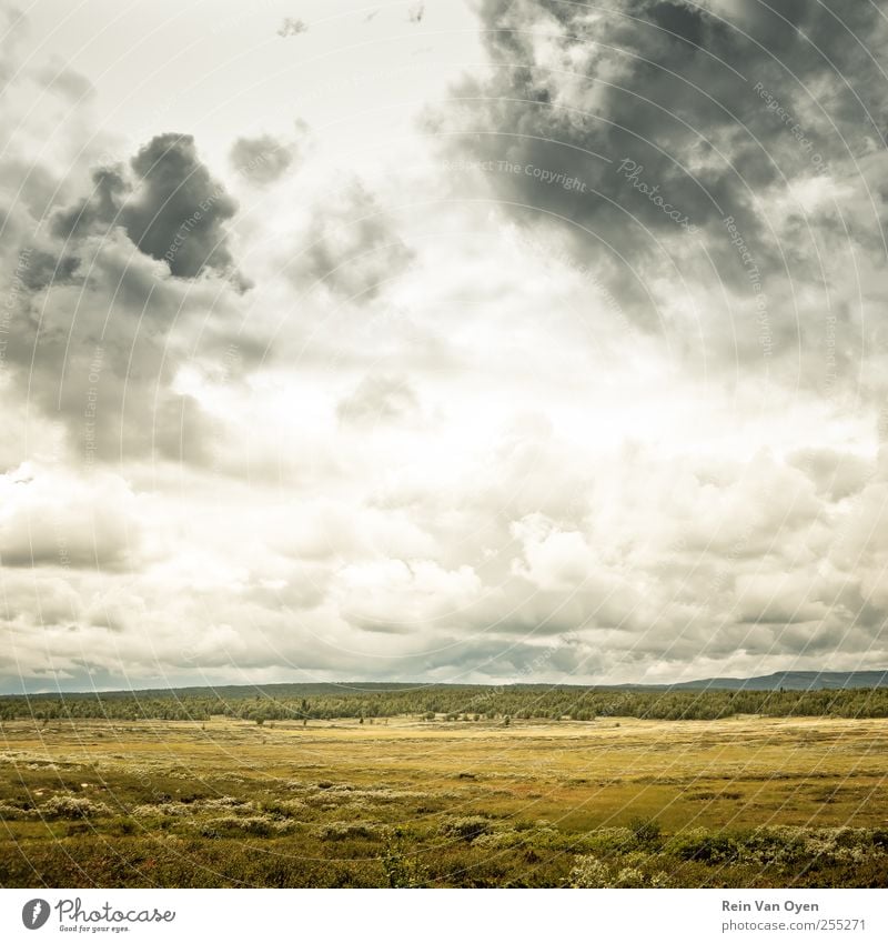 Wideness Environment Nature Landscape Plant Sky Clouds Horizon Grass Bushes Field Hill Esthetic Far-off places Beautiful Moody Serene Calm Colour photo