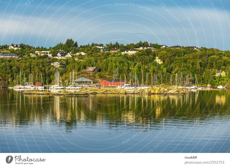 View to the city Bergen in Norway Relaxation Vacation & Travel Tourism Ocean Mountain House (Residential Structure) Nature Landscape Water Tree Town Harbour