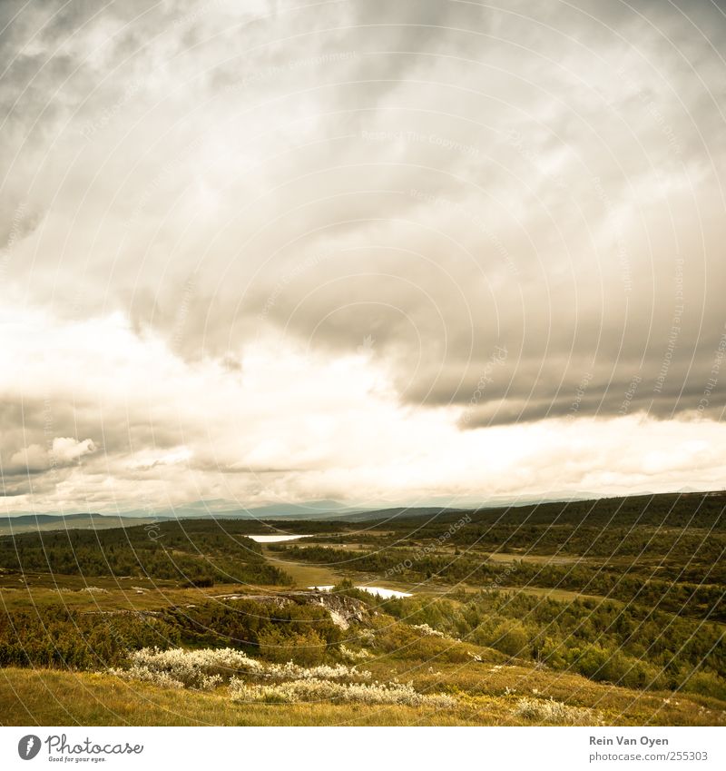 Lands of serenity Environment Nature Landscape Plant Earth Sky Clouds Horizon Summer Autumn Climate Weather Grass Bushes Moss Field Forest Hill Mountain