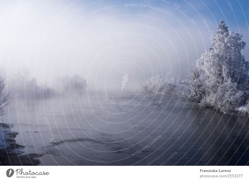 fog Nature Landscape Water Winter Fog Lakeside Brook Blue Uniqueness Elegant Mysterious Colour photo Exterior shot Deserted Copy Space top Copy Space bottom