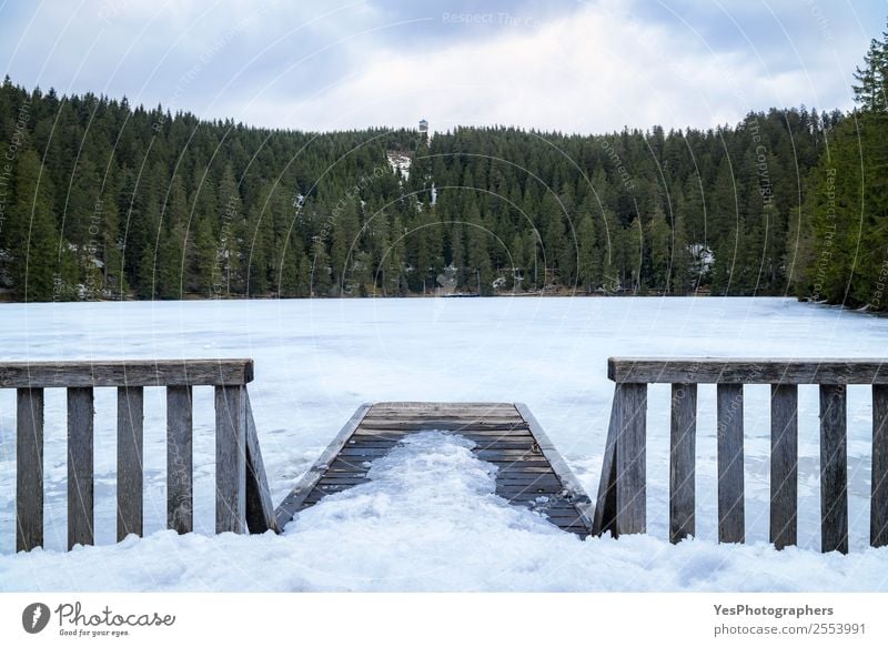 Small wooden pier and fence over a frozen lake Vacation & Travel Winter Snow Nature Landscape Weather Schwarzwald Bridge Tourist Attraction Peaceful Germany