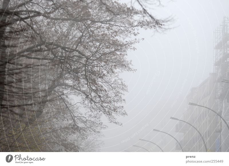 for you shall rain colorful pictures Bad weather Fog Tree Capital city House (Residential Structure) Building Facade Gray Branch Lantern Colour photo