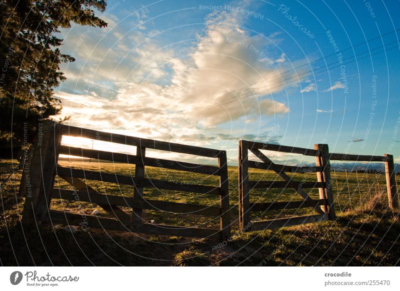 the gateway Vacation & Travel Trip Freedom Environment Nature Landscape Clouds Sun Sunrise Sunset Sunlight Spring Beautiful weather Meadow Field Blue Yellow