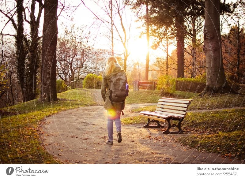 Late summer. Senses Relaxation Calm Leisure and hobbies Young woman Youth (Young adults) Woman Adults Life 1 Human being Landscape Beautiful weather Tree Grass