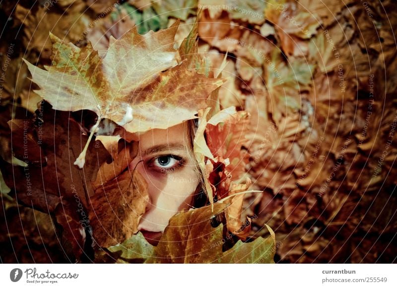 Leaf Me Alone Mirror Creativity Whimsical Moody Pride Leaf green Leaf filament Autumn Dark Brown Shriveled Eyes Eyebrow Colour photo Subdued colour