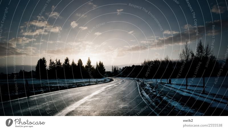 View into the distance Environment Nature Landscape Plant Sky Clouds Sun Winter Beautiful weather Snow Tree Field Forest Street Curve Illuminate Fresh