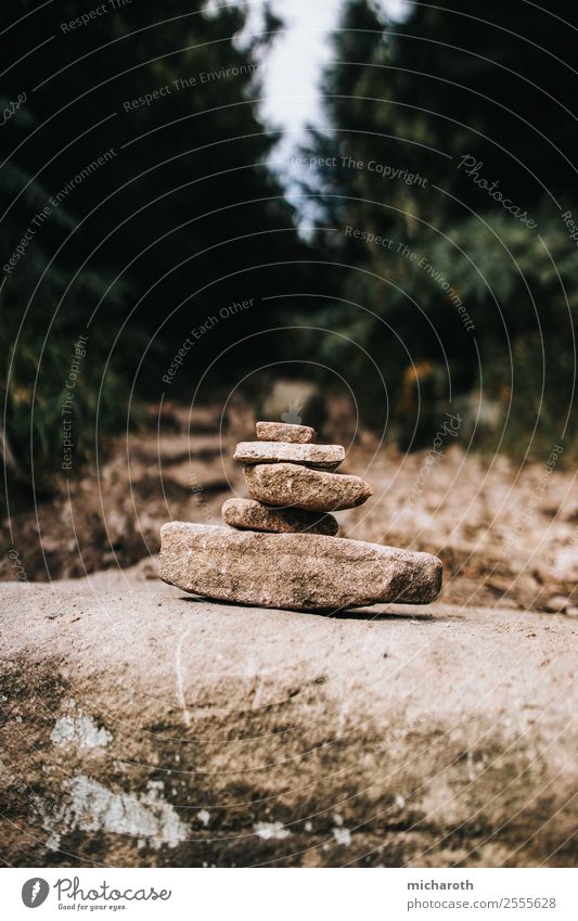 stone stack Environment Nature Earth Sand Climate Climate change Plant Forest Rock Mountain Stone Truth Judicious Wisdom Disciplined Endurance Unwavering Might