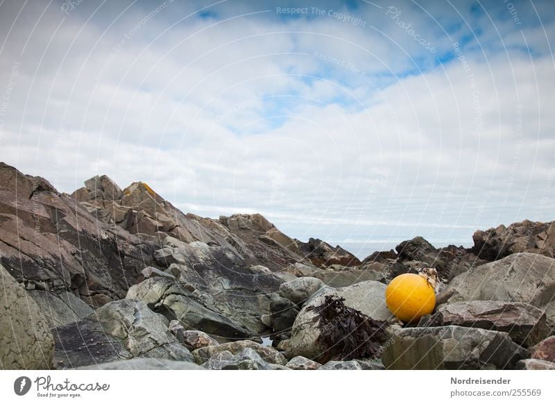 NR has decorated Senses Calm Far-off places Ocean Landscape Rock Coast Stagnating Moody Fishing float Fishery Buoy Flotsam and jetsam Maritime Rocky coastline