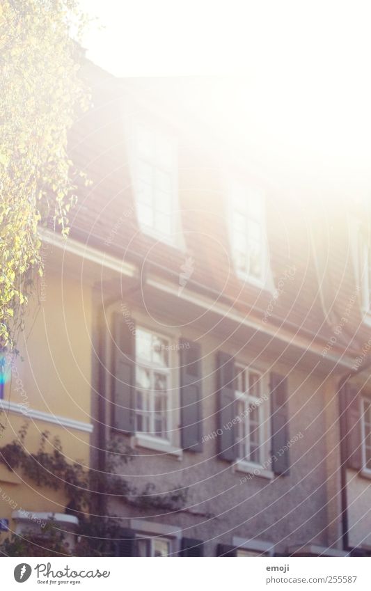 -flood- Sun House (Residential Structure) Detached house Wall (barrier) Wall (building) Facade Window Colour photo Exterior shot Deserted Morning Light Shadow