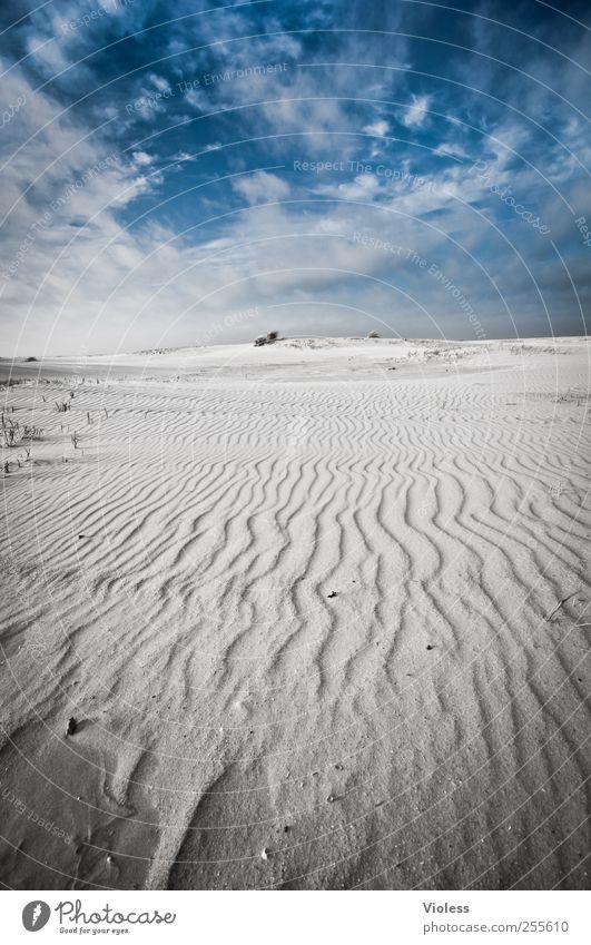 Spiekeroog. remember last april Nature Landscape Sand Air Sky Clouds Coast Beach North Sea Ocean Island Discover Relaxation Vacation & Travel Blue Undulation