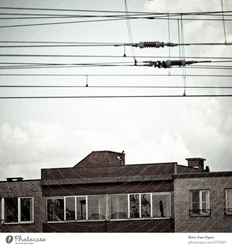 Industrial Sky Clouds Village Small Town Downtown Outskirts Old town Skyline House (Residential Structure) Window Brown Sadness Loneliness Cable Gable Industry