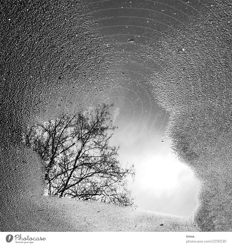 Crossing borders | Meta-level, curious Air Water Sky Clouds Tree Traffic infrastructure Street Lanes & trails Asphalt Tar Puddle Dark Wet Curiosity Concentrate