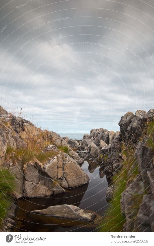 Dark water Senses Relaxation Calm Nature Landscape Plant Elements Clouds Grass Rock Reef Ocean Loneliness Water Moody Maritime Colour photo Subdued colour