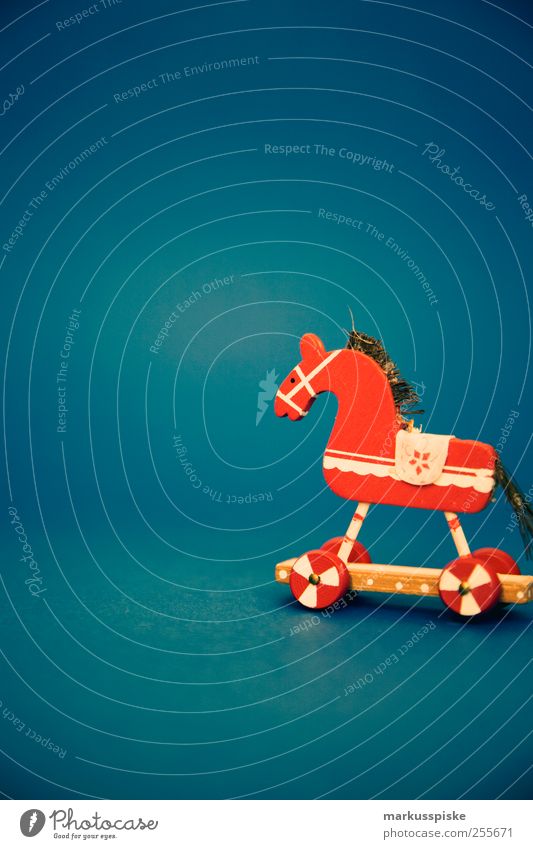 christmas decoration Living or residing Flat (apartment) Arrange Interior design Decoration Feasts & Celebrations Christmas & Advent Horse Ponytail Horse's head