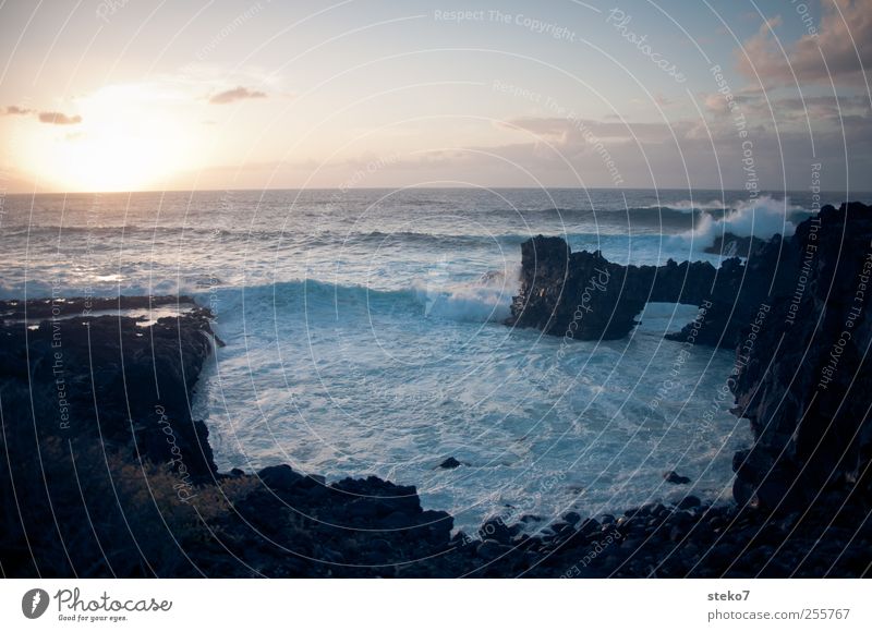 sinks Sky Sunrise Sunset Waves Coast Ocean Horizon Far-off places Canaries Cliff Rock Surf Colour photo Exterior shot Deserted Copy Space top Evening Twilight