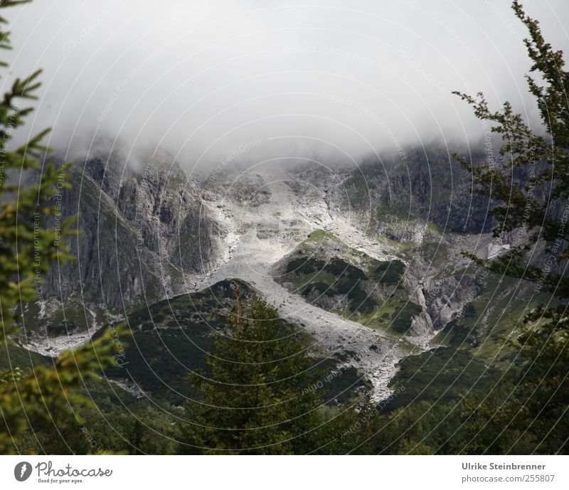 scree field Vacation & Travel Tourism Summer Mountain Nature Landscape Bad weather Fog Tree Rock Alps High King Saalfelden Austria Canyon Gravel Avalanche