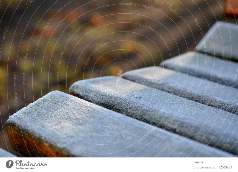 tomorrow, rough ripe Winter Wood Brown Gray White Bench Hoar frost Cold Colour photo Exterior shot Morning Sunlight Shallow depth of field Wooden bench Frozen