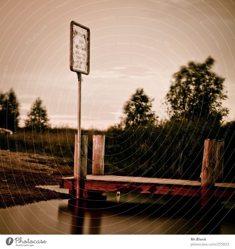 footbridge Environment Plant Animal Water Summer Weather Grass Bushes Lakeside Pink Signs and labeling Footbridge Wood Colour photo Subdued colour Exterior shot