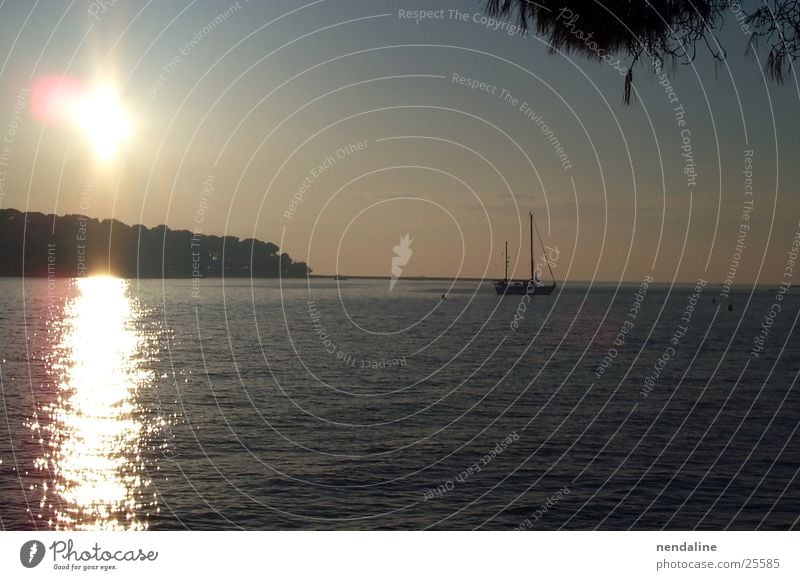 summer evening Sunset Lake Watercraft Sailboat Wals-Siezenheim Romance Reflection Sky land