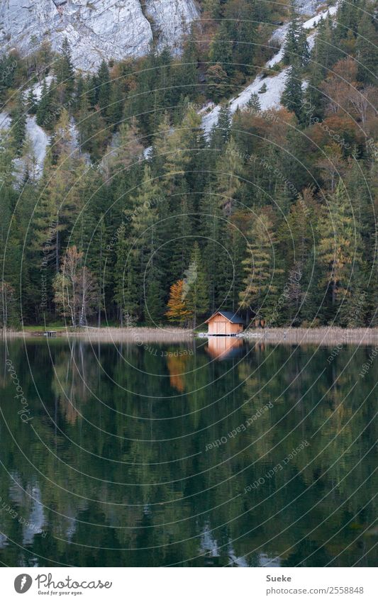 lake mountain hut Relaxation Calm Adventure Freedom Mountain Hiking House (Residential Structure) Nature Landscape Plant Water Autumn Common Reed Rock Alps