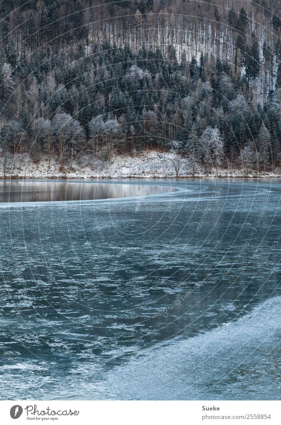 Half-frozen lake in idyllic winter landscape Winter Nature Tree Coniferous trees Mountain lake Lake Lakeside Deserted Idyll Frozen Frost Ice Landscape Snow