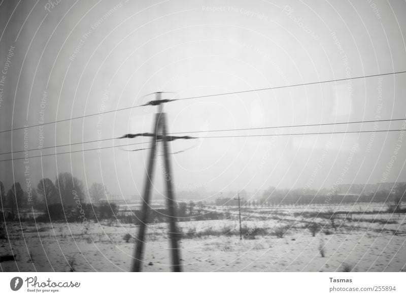 Grey finiteness Energy industry Electricity pylon Environment Landscape Bad weather Rail transport Train travel Passenger train Cold Gloomy Gray Sadness