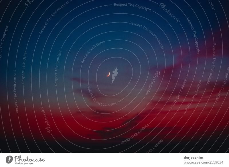 Alone in the outback. A crescent moon in a blue sky.  Below a beautiful bright dark red. Harmonious Trip Environment Nature Night sky Moon Summer