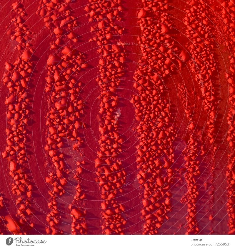 rope Design Drops of water Climate Rain Varnish Car paint Wet Many Red Colour Climate change Fluid Background picture Colour photo Exterior shot Detail Abstract