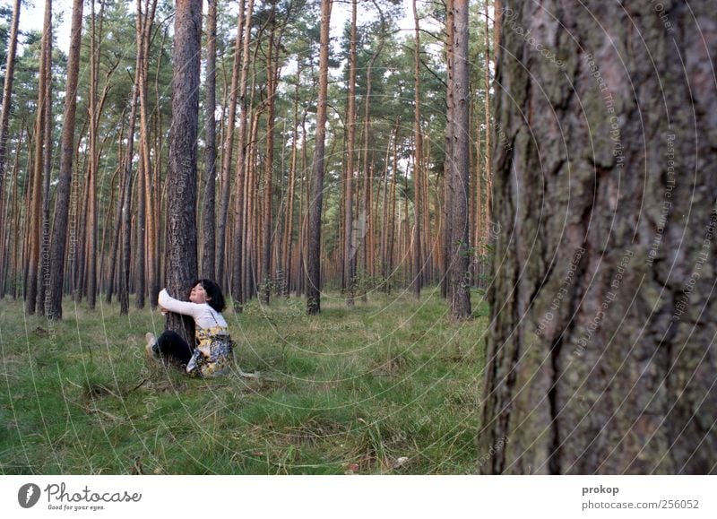 Embrace a tree again Human being Feminine Young woman Youth (Young adults) Woman Adults Environment Nature Landscape Beautiful weather Tree Grass Forest Happy