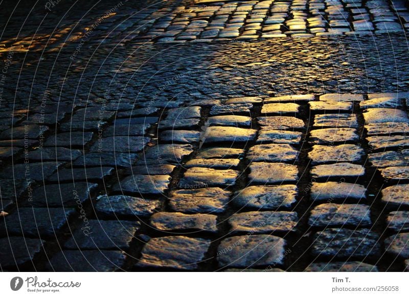 chestnut avenue Berlin Prenzlauer Berg Town Downtown Old town Deserted Cobblestones Sidewalk Colour photo Exterior shot Evening Twilight