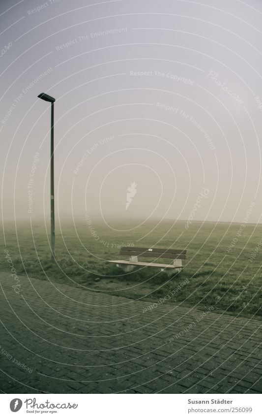 at the harbour | Spiekeroog Landscape Fog North Sea Stand Bench Lantern Footpath Dike Meadow Wall of fog Sea of fog Haze Colour photo Exterior shot Deserted